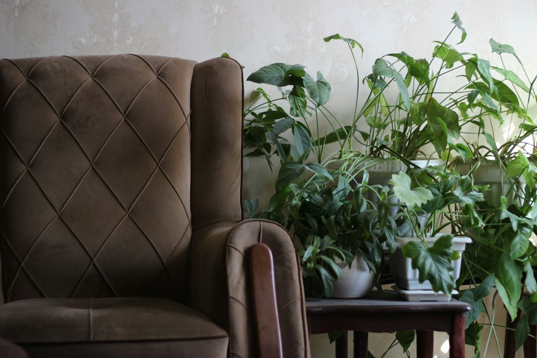 Consulta terapéutica cálida con sillón y plantas